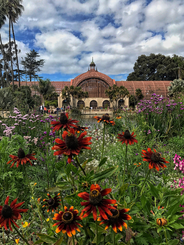 City Of San Diego Balboa Park Botanical Garden Renovation OCMI Inc city-of-san-diego-balboa-park-botanical-garden-renovation-ocmi-inc